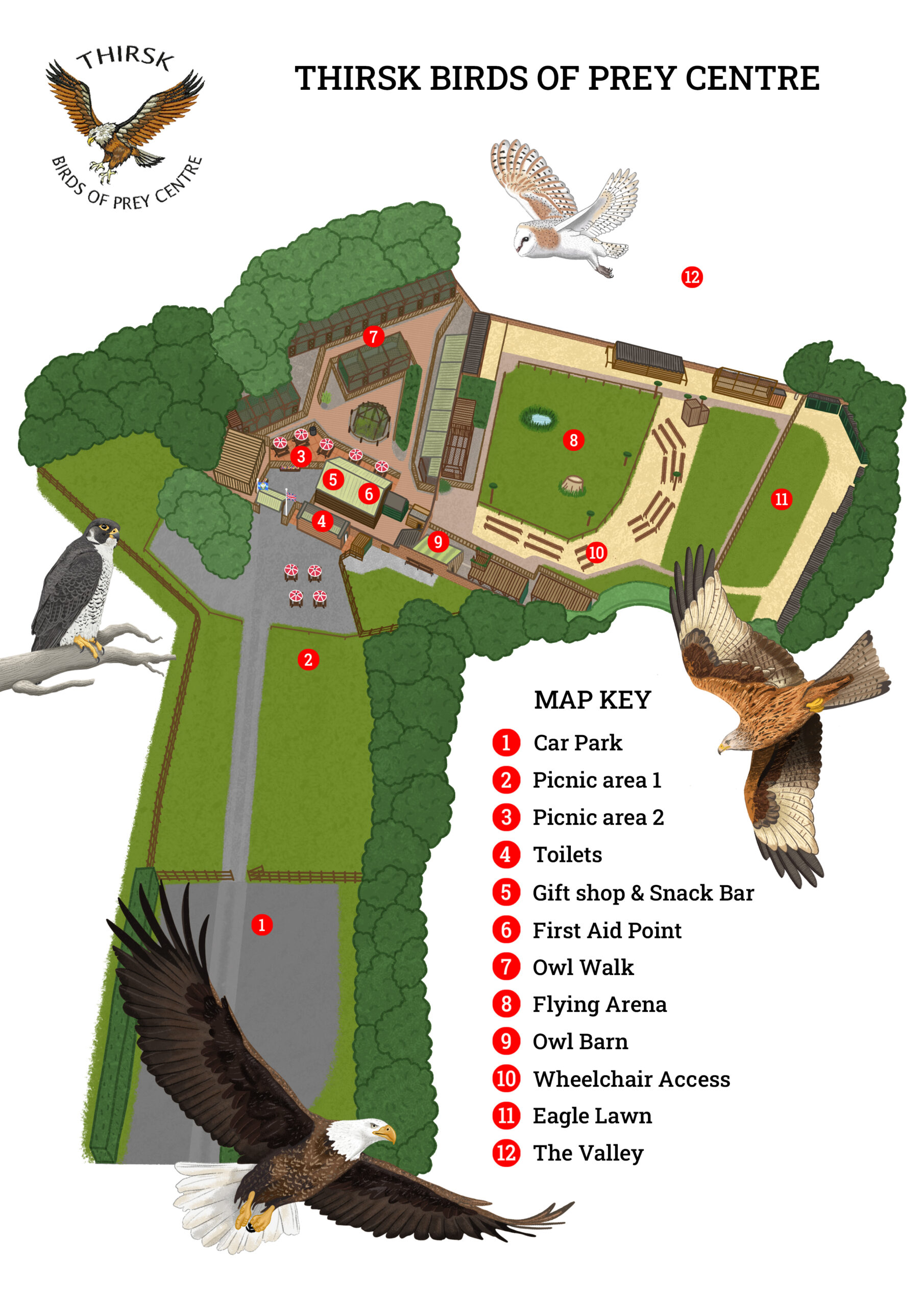 Visitor Information - Thirsk Birds of Prey Centre Thirsk Birds of Prey  Centre