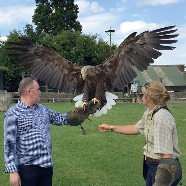 Full Day Birds of Prey Experience Thirsk Birds of Prey Centre